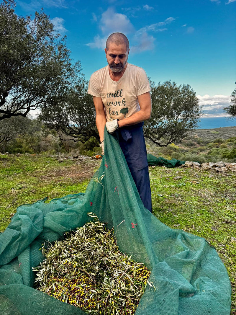 Deep-rooted agricultural tradition